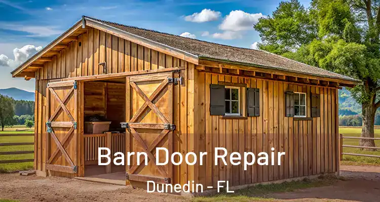  Barn Door Repair Dunedin - FL
