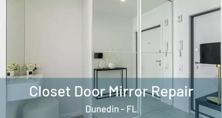  Closet Door Mirror Repair Dunedin - FL