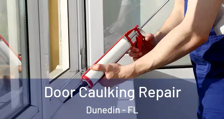  Door Caulking Repair Dunedin - FL
