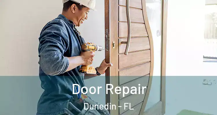 Door Repair Dunedin - FL