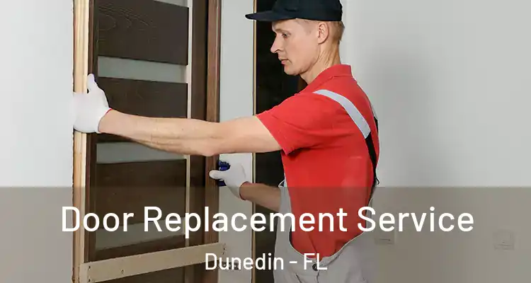  Door Replacement Service Dunedin - FL