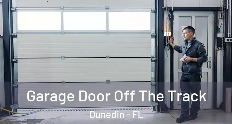  Garage Door Off The Track Dunedin - FL