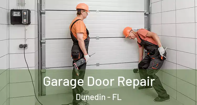  Garage Door Repair Dunedin - FL