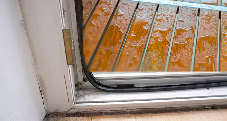 Water Leaking Wooden Patio Doors Repair in Dunedin, FL