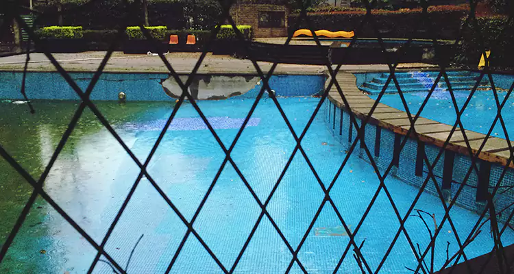 Lanai Screen Repair in Dunedin, FL