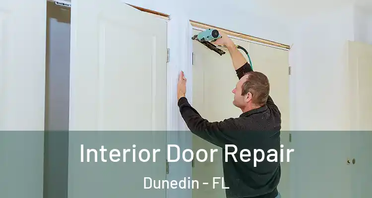  Interior Door Repair Dunedin - FL