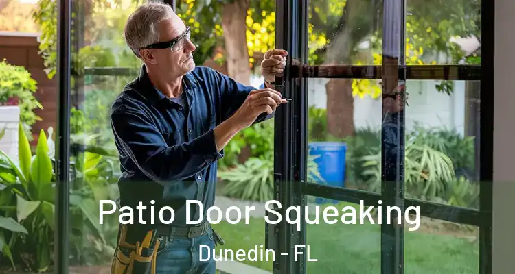  Patio Door Squeaking Dunedin - FL