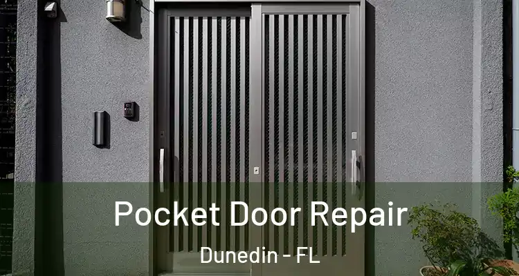  Pocket Door Repair Dunedin - FL