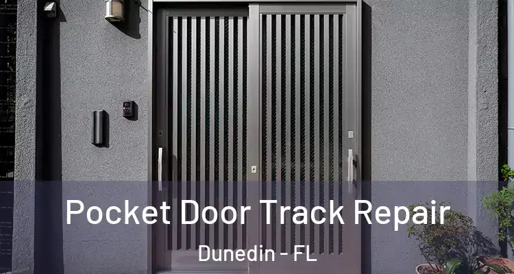  Pocket Door Track Repair Dunedin - FL
