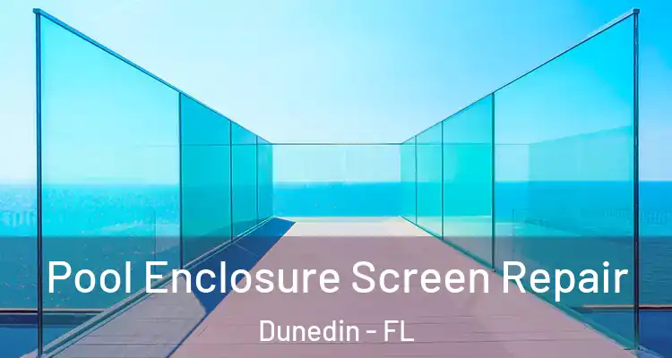  Pool Enclosure Screen Repair Dunedin - FL