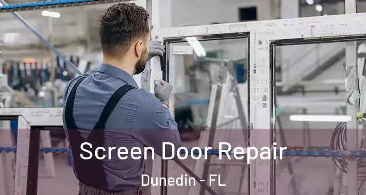  Screen Door Repair Dunedin - FL