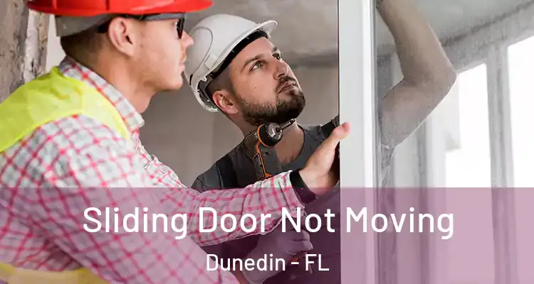 Sliding Door Not Moving Dunedin - FL