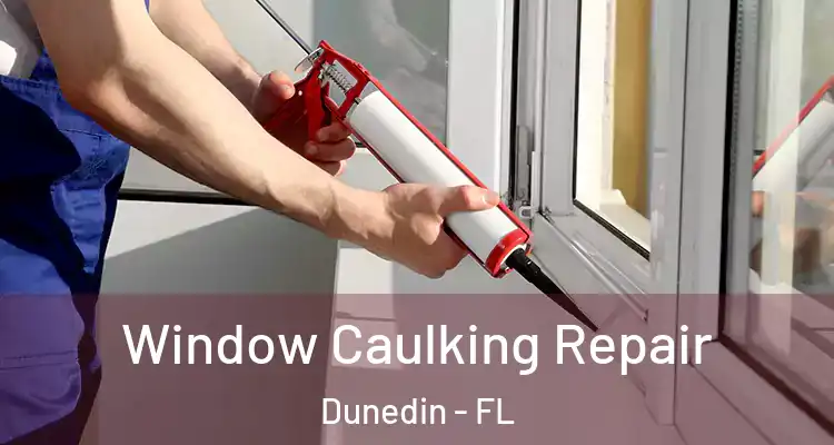  Window Caulking Repair Dunedin - FL
